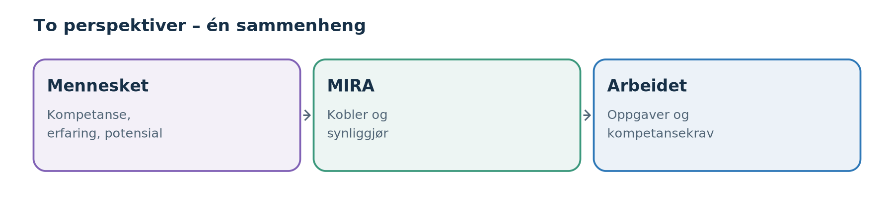 Oppgaver, roller, stillinger og kompetanse – sammenhengen i MIRA